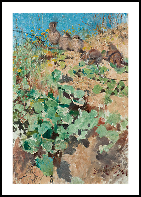 Nestlings of Red-Backed Shrike Poster - Posterbox.dk