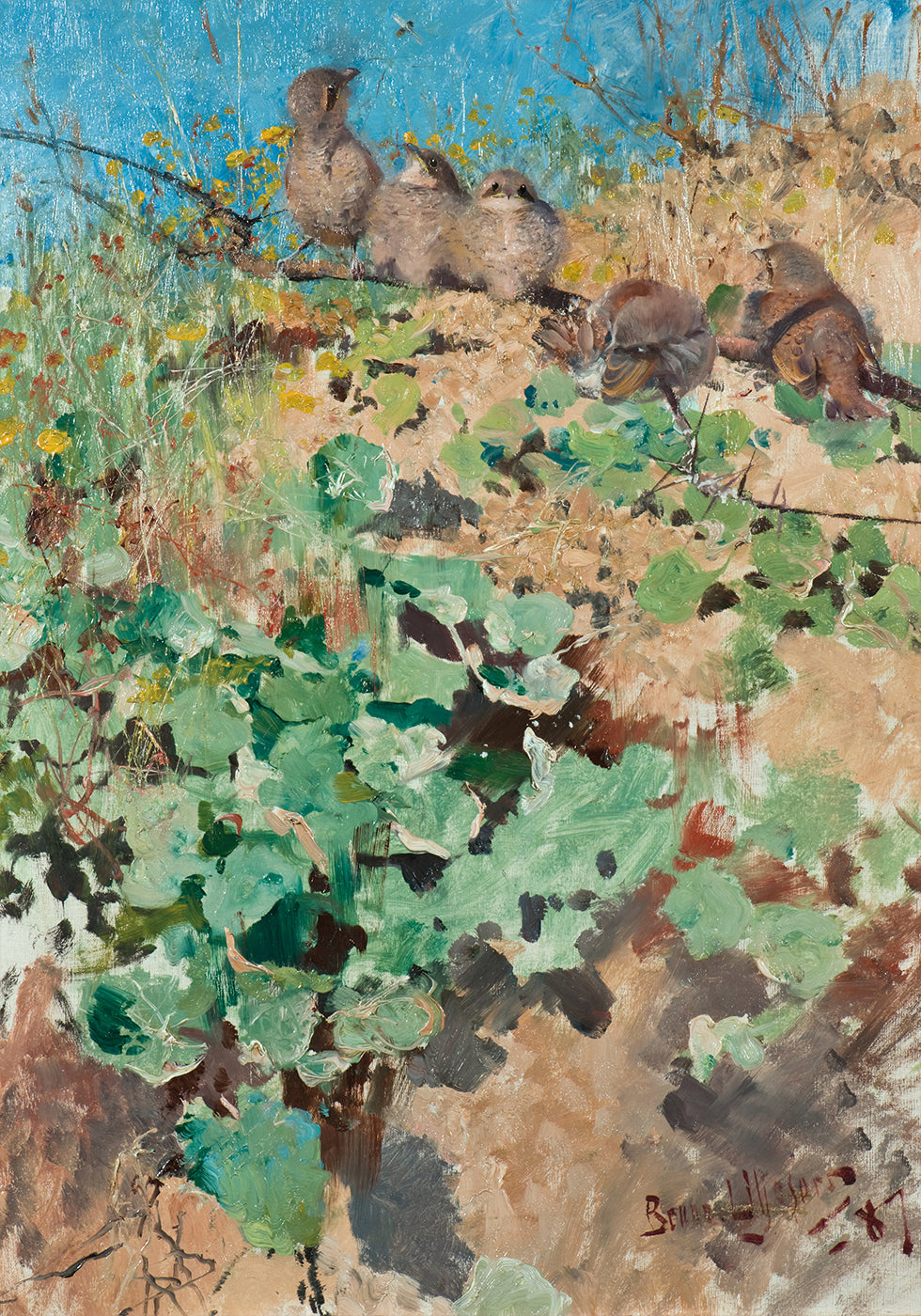 Nestlings of Red-Backed Shrike Poster - Posterbox.dk