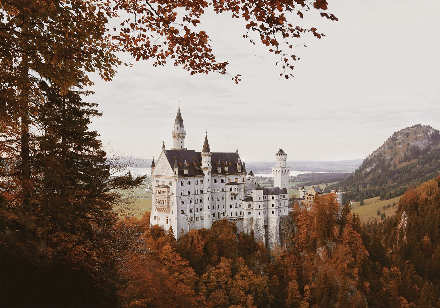 Neuschwanstein Castle in Autumn Poster - Posterbox.dk