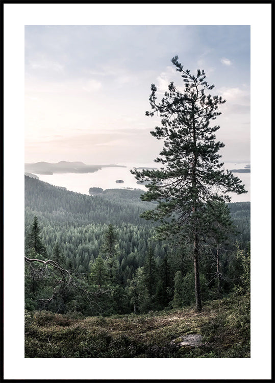 Nordic Forest and Lake View Poster - Posterbox.dk