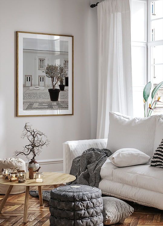 Olive Tree in City Courtyard Poster - Posterbox.dk