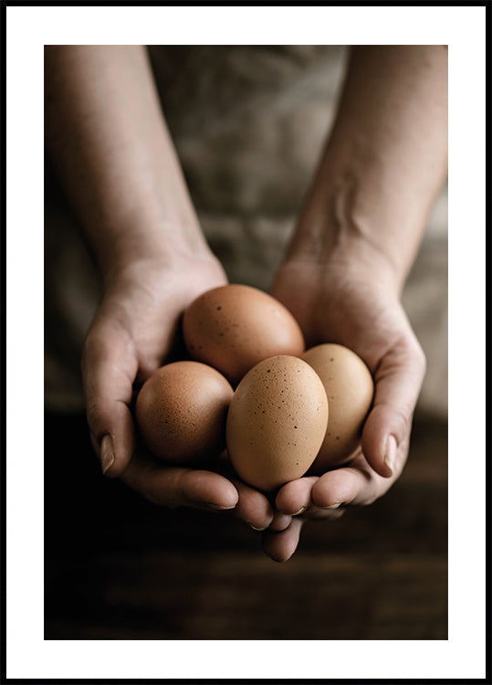 Organic Farm Eggs Poster - Posterbox.dk