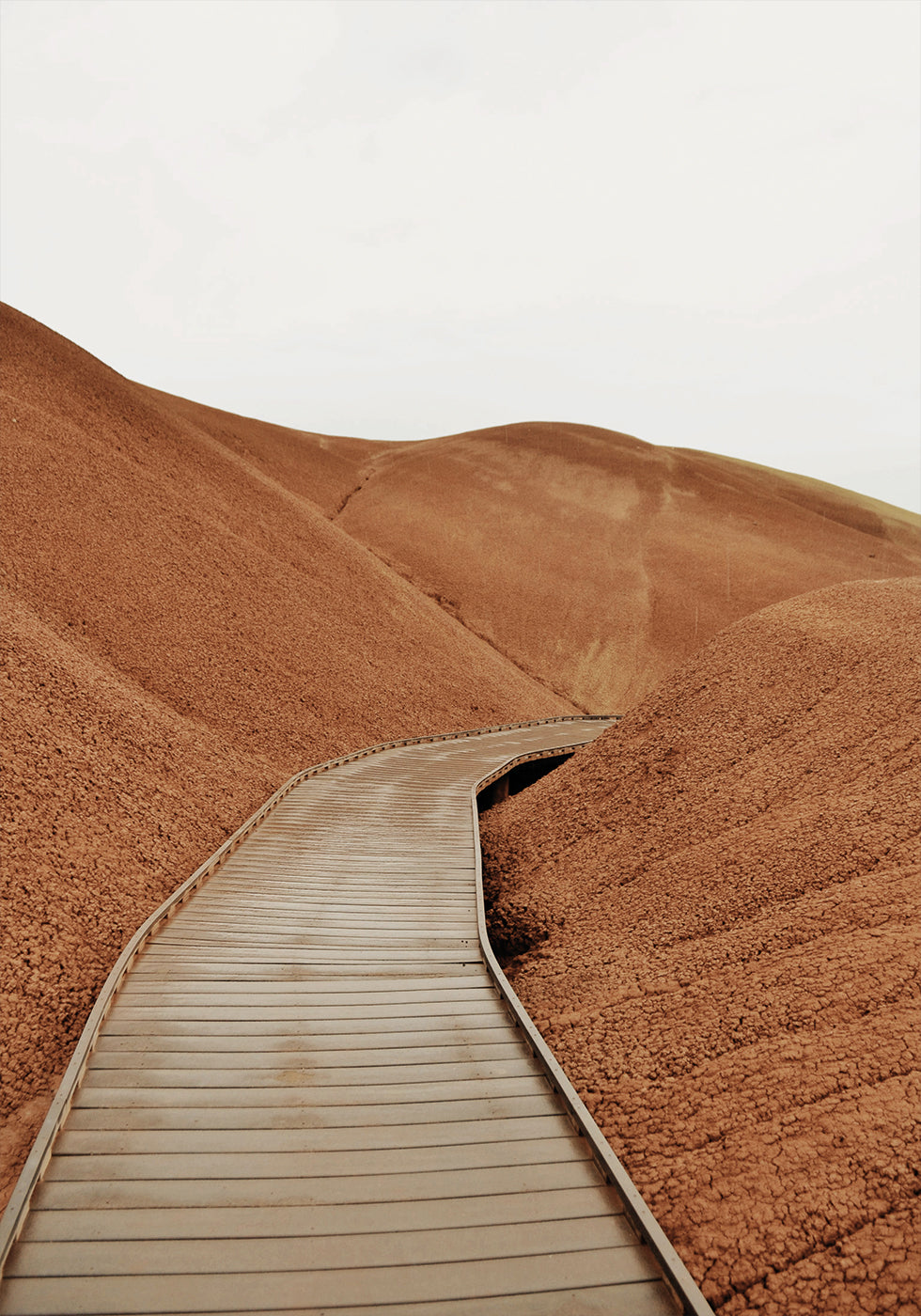 Painted Hills Boardwalk Poster - Posterbox.dk