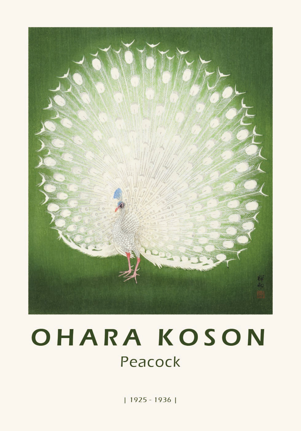 Peacock, Japanese White Peafowl Poster - Posterbox.dk