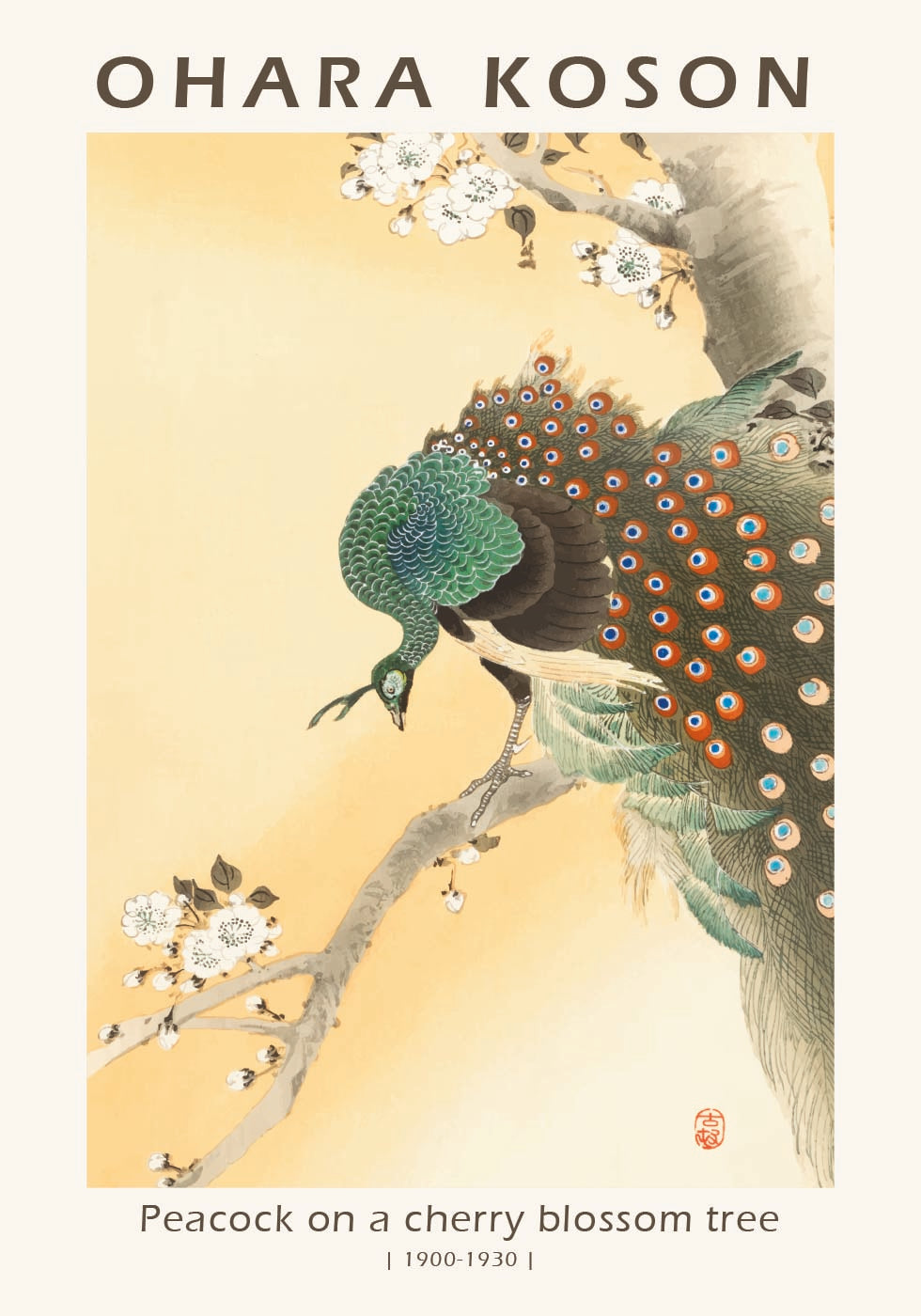 Peacock on a Cherry Blossom Tree, Japanese Woodblock By Ohara Koson Poster - Posterbox.dk