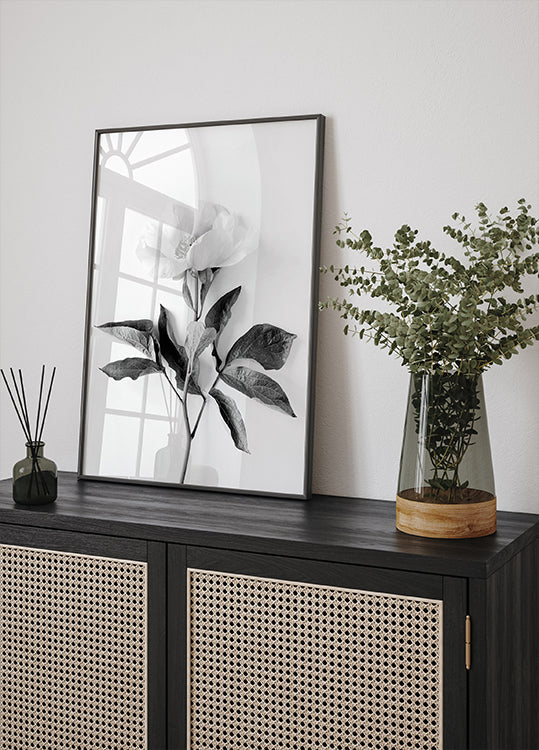 Peony B&W Poster - Posterbox.dk