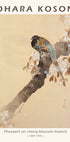 Pheasant on Cherry Blossom Branch, Japanese Woodblock By Ohara Koson Poster - Posterbox.dk