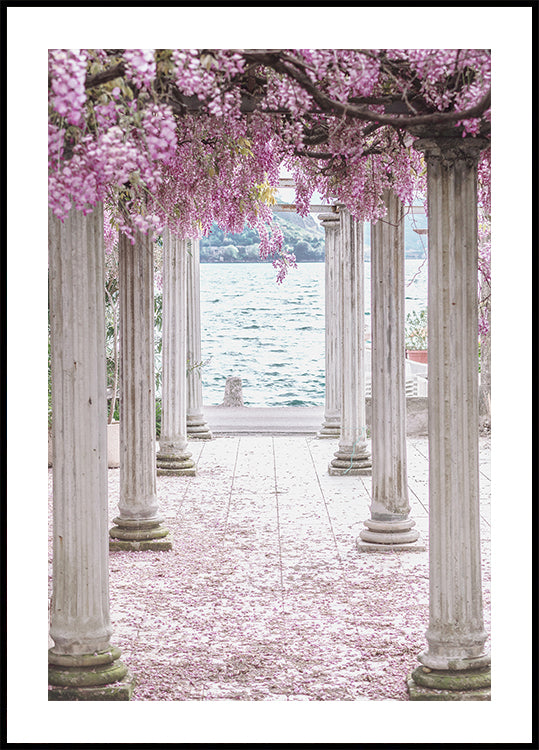 Pillars and Wisteria Flowers Poster - Posterbox.dk
