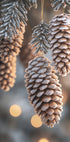 three pine cones hanging from a Christmas tree