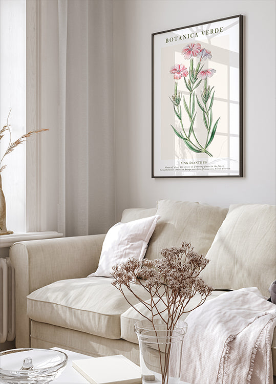 Pink Dianthus Botanical Poster - Posterbox.dk