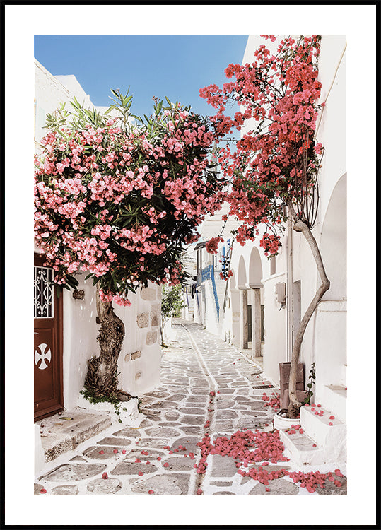 Pink Flower Trees in a Picturesque Alley Poster - Posterbox.dk