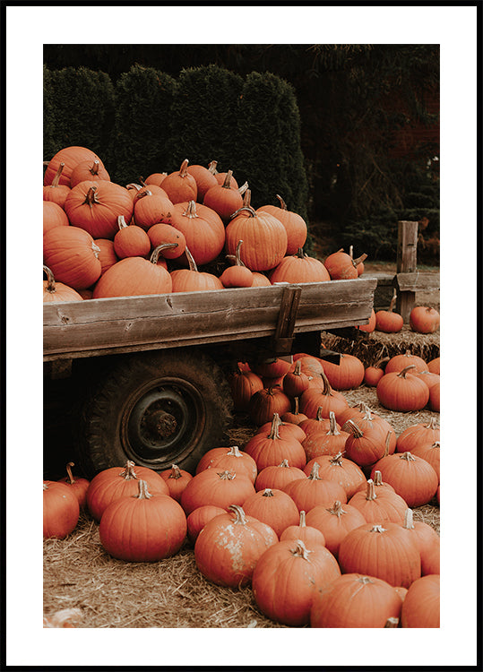 Pumpkin Patch Truck Poster - Posterbox.dk