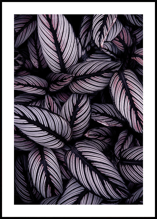 Purple Leaves Poster - Posterbox.dk
