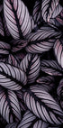 Purple Leaves Poster - Posterbox.dk
