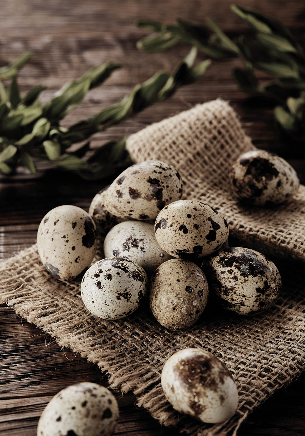 Quail Eggs on Rustic Burlap Poster - Posterbox.dk