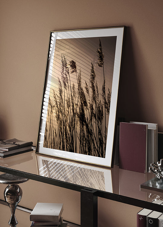 Reeds at Sunset Poster - Posterbox.dk