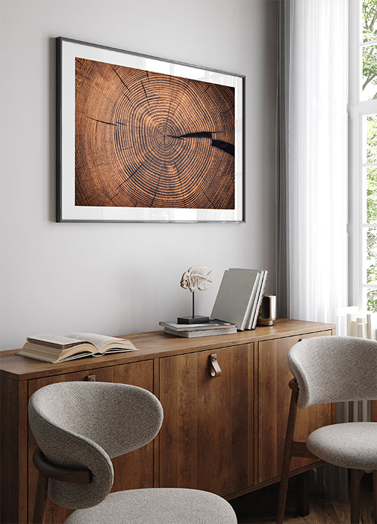 Rings of Time: A Tree's Life Story Poster - Posterbox.dk