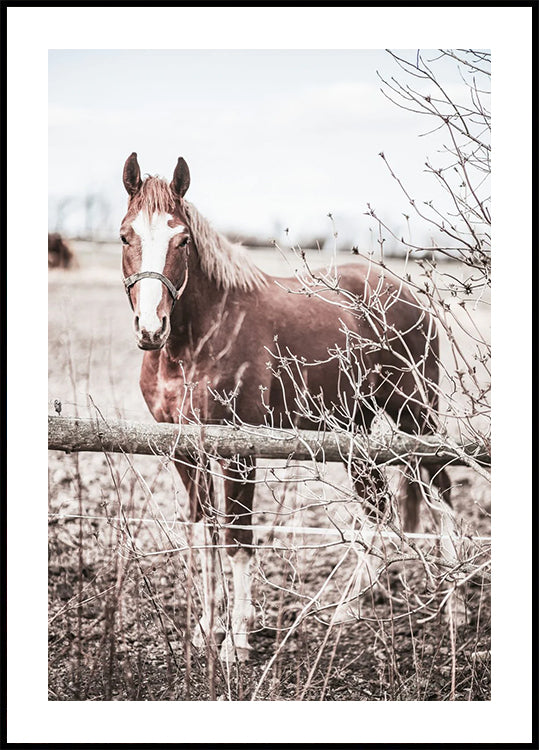 Rustic Brown Horse in Pastel Countryside Poster - Posterbox.dk