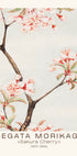 Sakura Cherry Japanese Blossom, Megata Morikaga 1870–1880 Poster - Posterbox.dk
