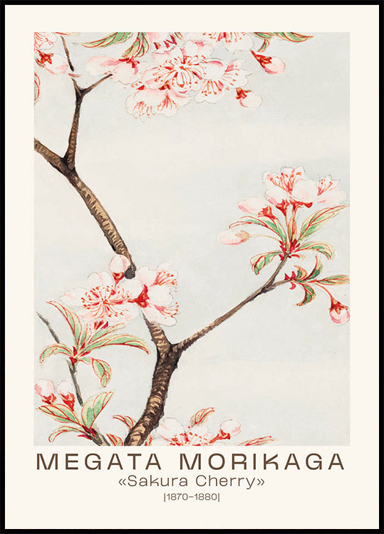 Sakura Cherry Japanese Blossom, Megata Morikaga 1870–1880 Poster - Posterbox.dk
