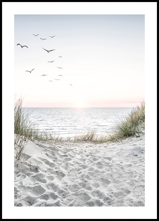 Seagulls and Sandy Beach Poster - Posterbox.dk