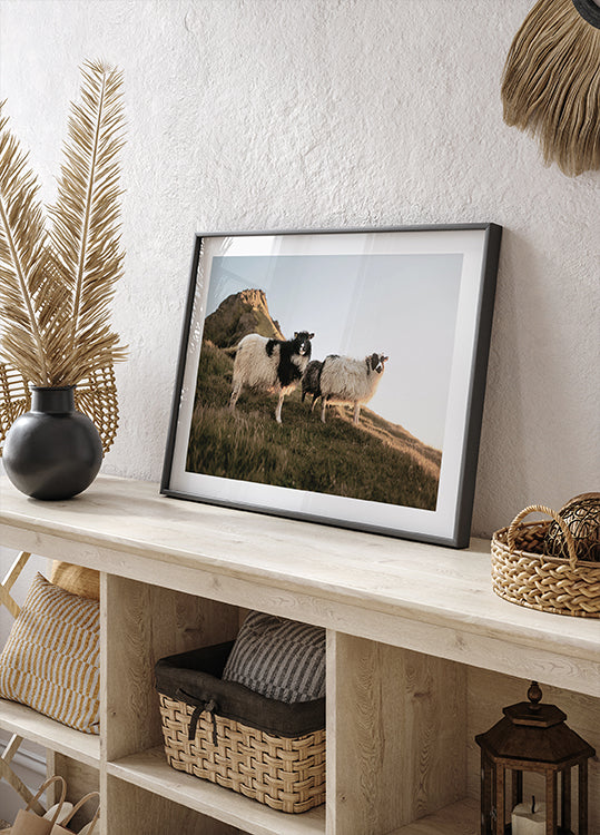 Sheep of Iceland Poster - Posterbox.dk