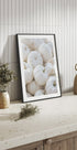 Small White Pumpkins Poster - Posterbox.dk