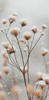 a close up of a plant with snow on it