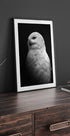 Snowy Owl in Black and White Poster - Posterbox.dk