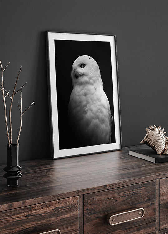 Snowy Owl in Black and White Poster - Posterbox.dk