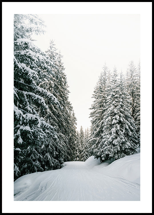 Snowy Road Through Evergreen Forest Poster - Posterbox.dk