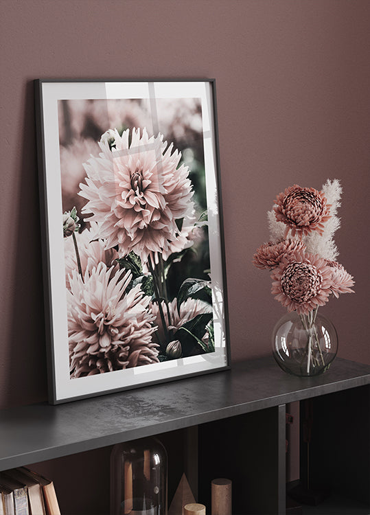 Soft Dahlia Bloom Poster - Posterbox.dk