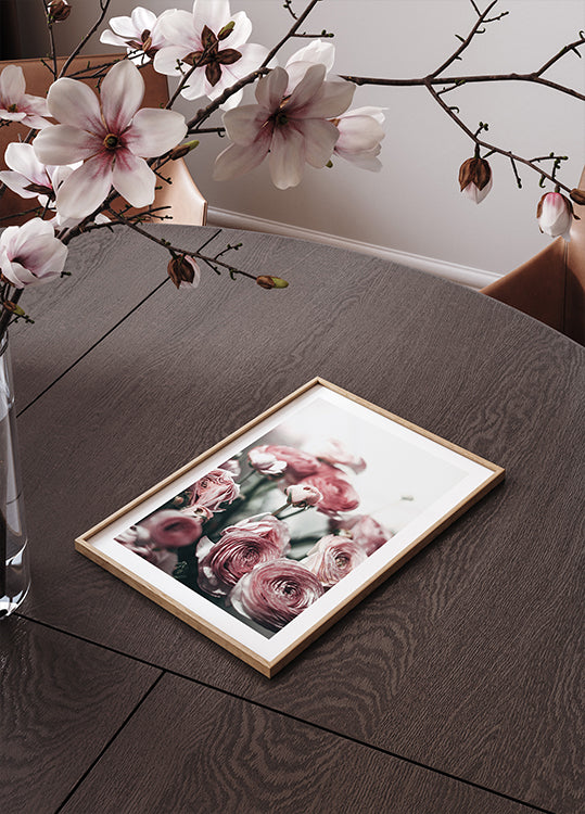 Soft Pink Ranunculus Poster - Posterbox.dk