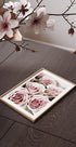 Soft Pink Roses Poster - Posterbox.dk