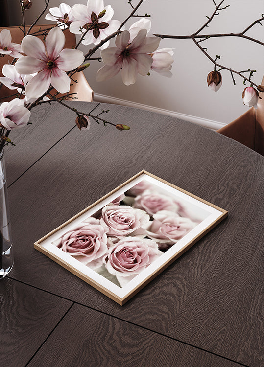 Soft Pink Roses Poster - Posterbox.dk