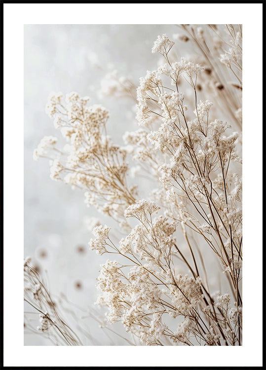 Soft Whispers of Dried Wildflowers in Light Tones Poster - Posterbox.dk