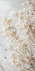 Soft Whispers of Dried Wildflowers in Light Tones Poster - Posterbox.dk