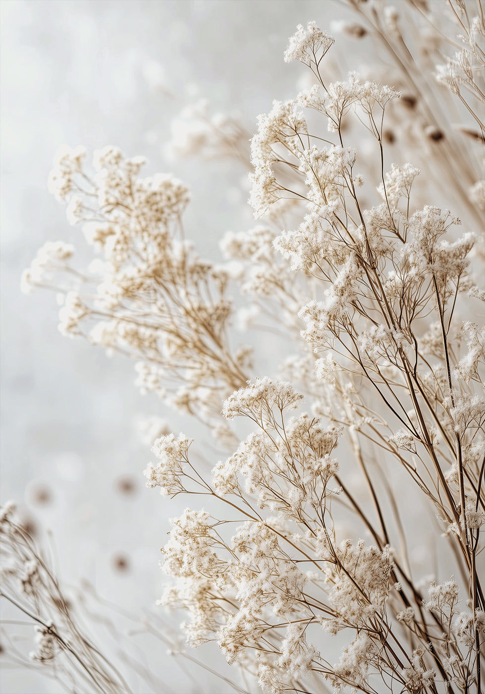 Soft Whispers of Dried Wildflowers in Light Tones Poster - Posterbox.dk