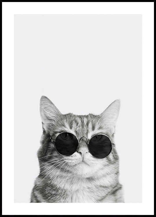 Sophisticated Feline in Sunglasses Poster - Posterbox.dk