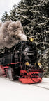 Steam Train in Snowy Forest Poster - Posterbox.dk