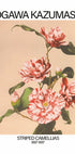 Striped Camellias Print, Ogawa Kazumasa Poster - Posterbox.dk