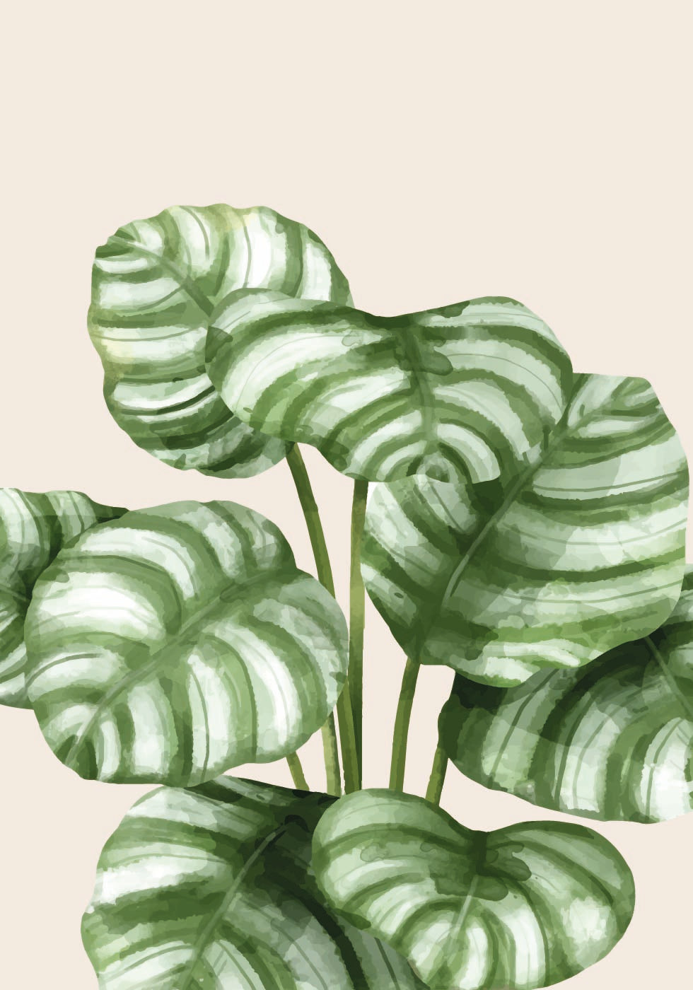 Striped Green Leaves Botanical Poster - Posterbox.dk