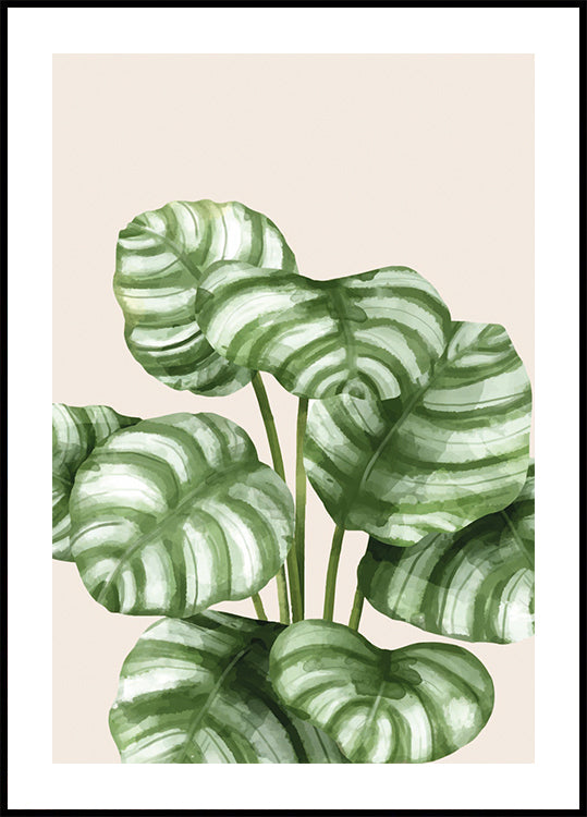 Striped Green Leaves Botanical Poster - Posterbox.dk