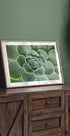 Succulent Spiral Poster - Posterbox.dk