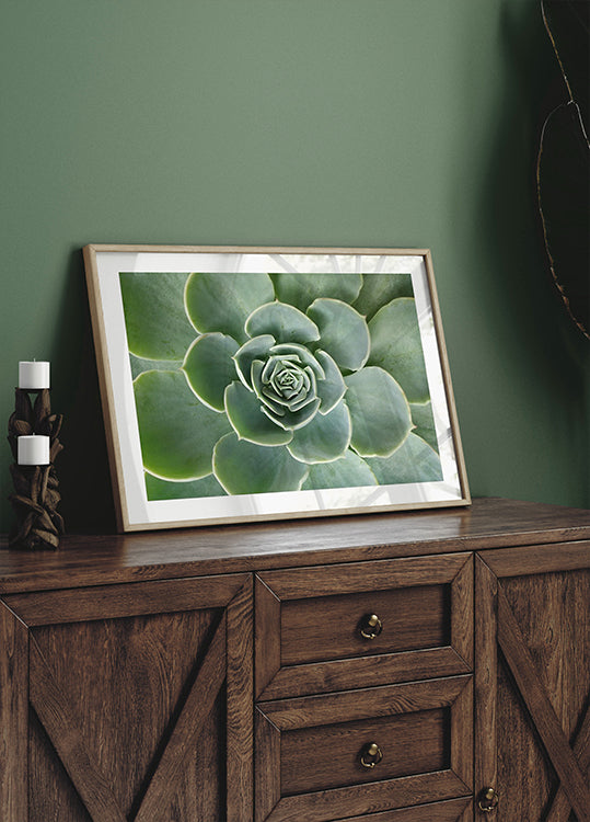 Succulent Spiral Poster - Posterbox.dk