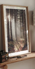Sunbeam Forest Poster - Posterbox.dk