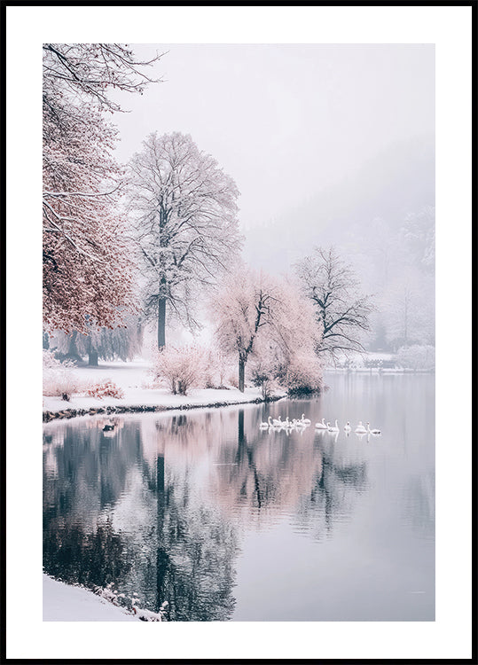 Swans on a Winter Lake Poster - Posterbox.dk