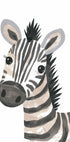 Sweet Zebra With Lashes Poster - Posterbox.dk