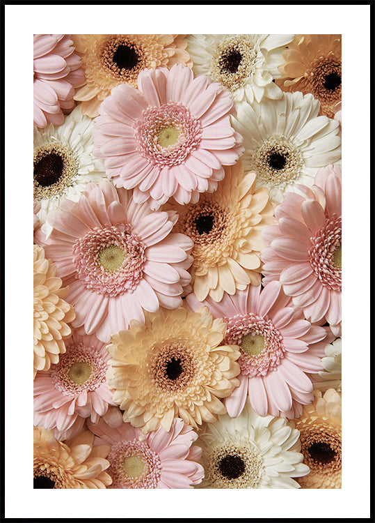 Tender Gerbera Poster - Posterbox.dk