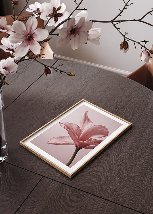 Tender Pink Lily Poster - Posterbox.dk